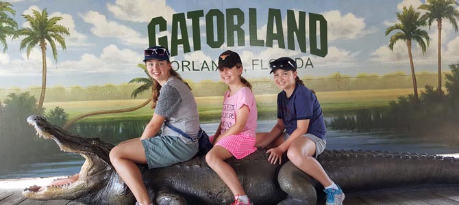 Gatorland – Snappy Snappy