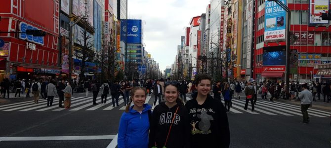 Day 7 – Asakusa and Akihabara