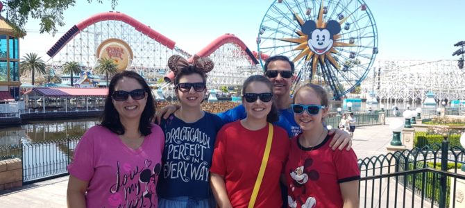 Days 25 – 26: Disneyland Resort and Homeward Bound